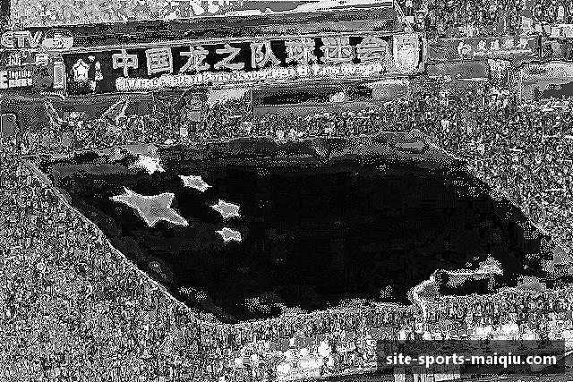 知道买球站